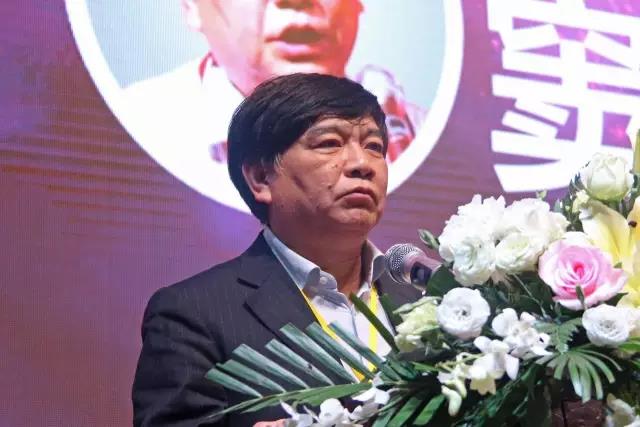中國炤明(ming)學會祕書長竇林(lin)平.jpg